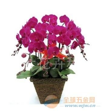 一年价目表大曝光