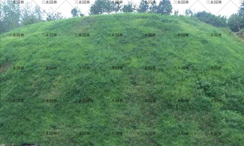 播种时间， 要选对