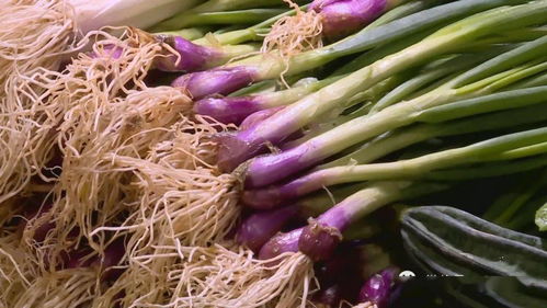 “掉色葱”是怎么形成的？