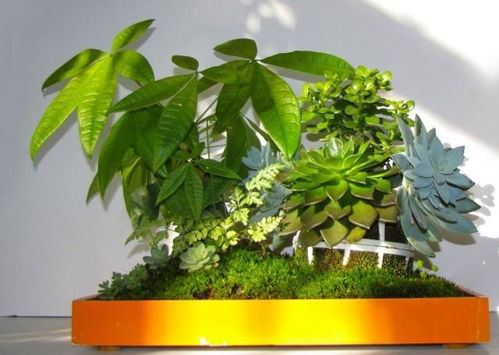 温度：保暖是关键