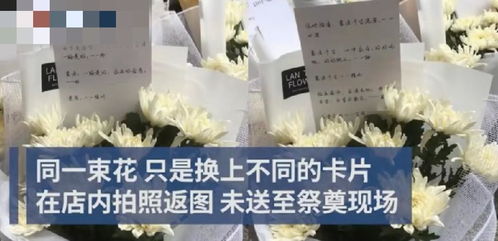 揭露虚假情意，揭秘“欺骗之花”的秘密！