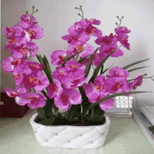 客厅能放假花吗？但放客厅真的合适吗