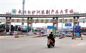 市场概况：一个大写的“鲜”字