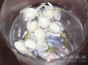 茉莉花茶常饮有益吗？它的功效与作用你知道吗