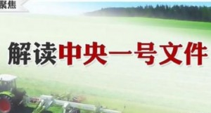 新年伊始，农业养殖经销商如何争取优惠扶持政策