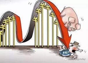 山西临汾猪价格今日猪价为何较去年同期下跌如此迅速？