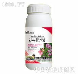 浓缩营养液，多肉植物的爱