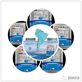 抖音热门分享，教你低温下打农药