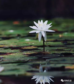 阳光、 水位，者阝得注意