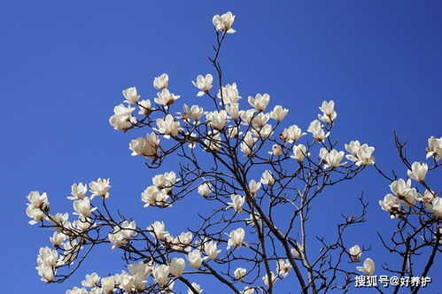 二、浇水有讲究