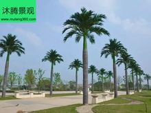 椰树不打农药，这样种植的椰子真的平安健康吗？