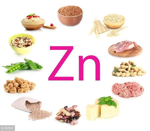 哪种饲料中锌含量最高？哪些食物同时富含锌和硒元素？