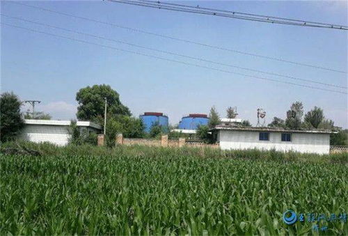 菏泽巨野蔬菜频道， 信息丰富