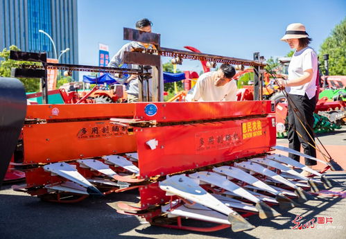 农业养殖新纪元：创新驱动