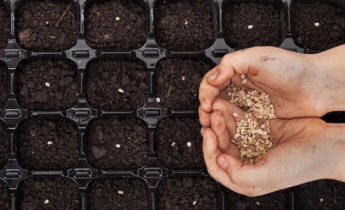 中间商的差价空间