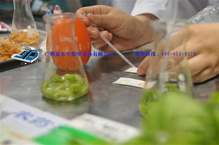 实验室里的秘密武器