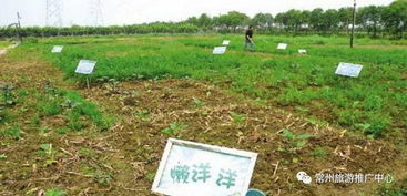 第二坑：不堪天气硬上弓， 盲目播种