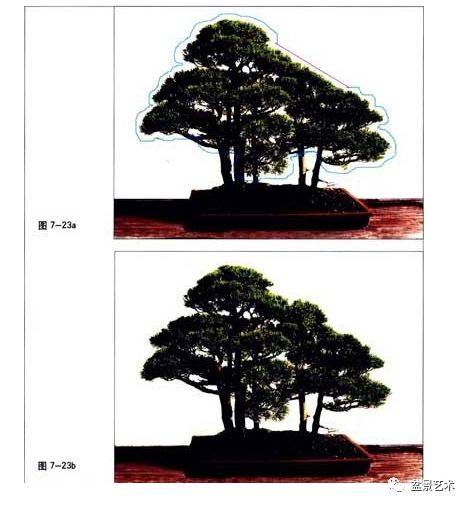 北方地区气候条件