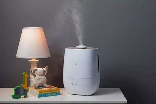 房间干燥怎么办？多种加湿方法来帮你
