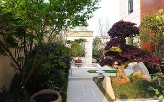 国际交流与合作：绿色建筑领域的桥梁