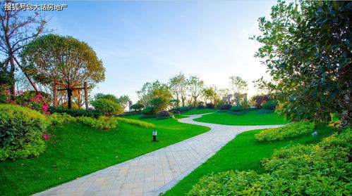 园林绿化种植合同中的植物配置艺术