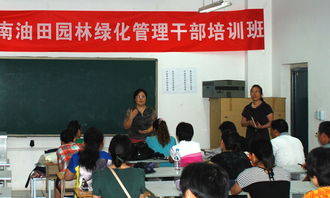 实践操作：体验绿色的魅力