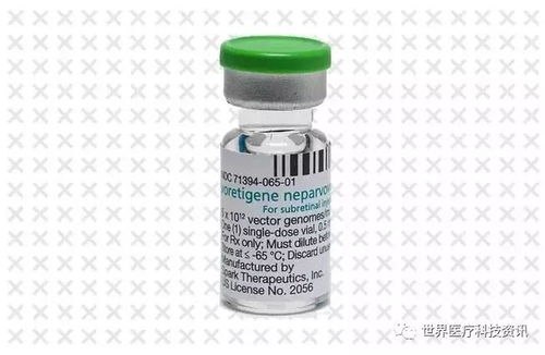 兽医推荐：鸟不站树是何病