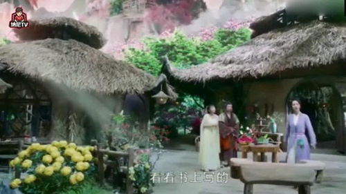 “探寻花界珍宝，核桃花源地揭秘！”