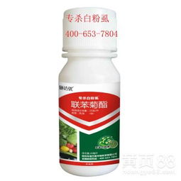 有机小白菜， 健康又美味