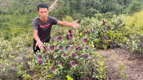 三、 终极保存方案：5元成本用3年