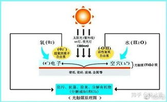 方法三：光触媒净化