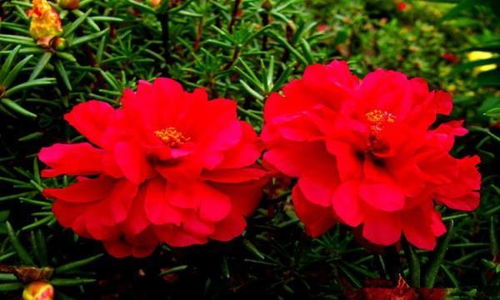 阳光的温暖与凶险