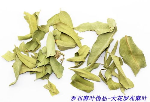 《中国药典》里的秘密