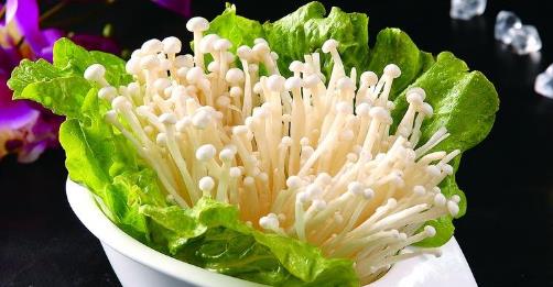 金针菇干燥保存技巧：花卉保鲜新策略