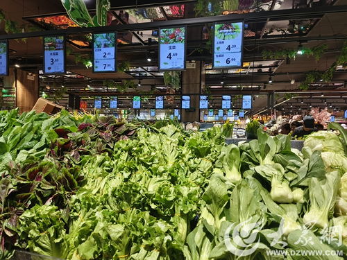 今夏大庆菜价飙升，黄瓜、豆角昂贵