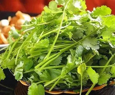 吃香菜好处多多，但你知道它的坏处吗