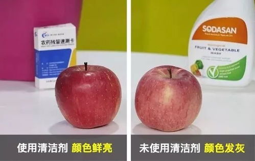 蔬菜农药残留，你了解多少？