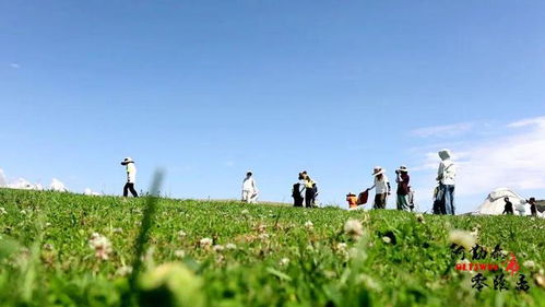 享受大自然的馈赠