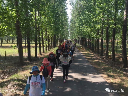 第二步：介质选择