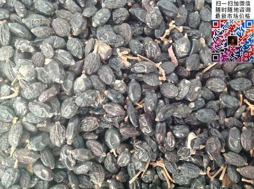 一斤绣球花籽有多少颗？