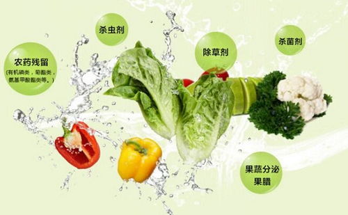 青菜农药残留大揭秘：怎么洗才干净呢？