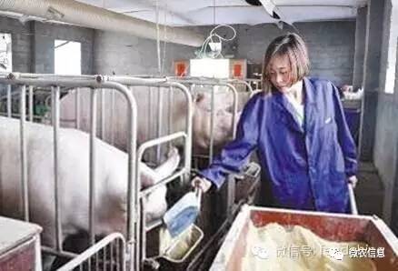 专为保育猪及哺乳母猪设计的猪舍地板