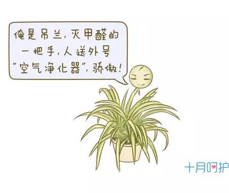 阿维菌素：神奇的农药，效果杠杠的！