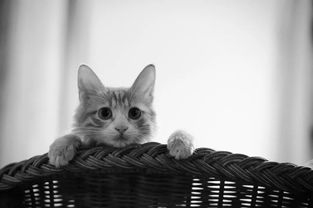 再说说提醒：杀虫剂瓶身若有