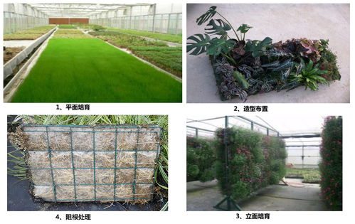 绿植墙：建筑与自然的完美融合