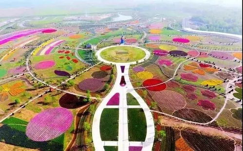 传统绿化苗木受政策限制， 订单主要来自老项目收尾和补栽