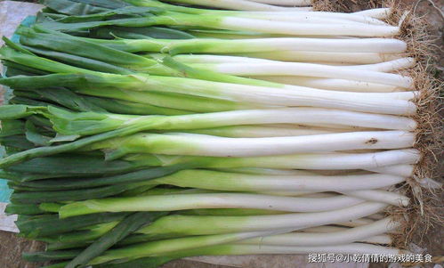 肥料大比拼：腐熟机肥、鸡粪、牛粪，哪个才是葱莲花生长的黄金搭档？