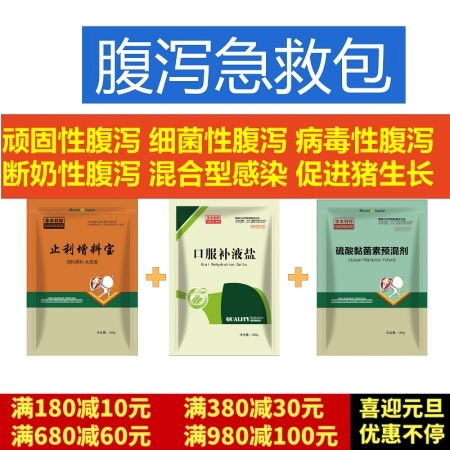 如何根据仔猪快速止痢实战技巧，合理选择药物和补液方案，并采取哪些关键措施预防复发？