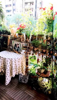 春季养护，唤醒生机