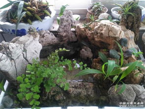 细节处理，匠心独运